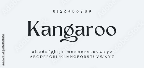 Luxury alphabet letters font and number. Typography elegant wedding classic lettering serif fonts decorative vintage retro concept. vector illustration