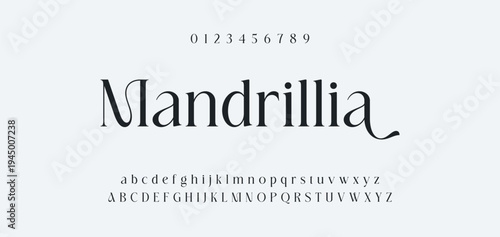 Luxury alphabet letters font and number. Typography elegant wedding classic lettering serif fonts decorative vintage retro concept. vector illustration