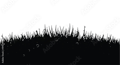 Silhouette of lush green grass with dew drops on a white background