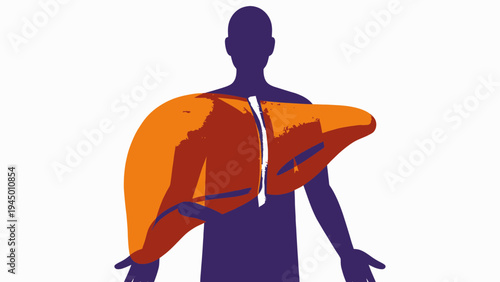 Human Liver Anatomy Graphic on Body Silhouette vector illustration