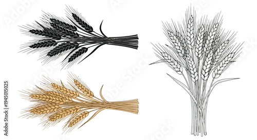 Wheat sheaves in varying colors and styles black gold and grayscale