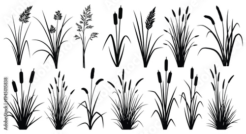 A collection of wetland plants and grasses depicted in a striking black silhouette high quality professional