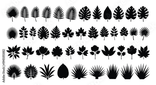 Collection of tropical leaves and foliage in black and white