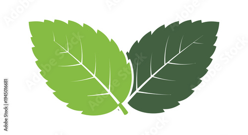 Two vibrant green leaves intertwine showcasing a striking botanical design silhouette high quality professional detailed modern