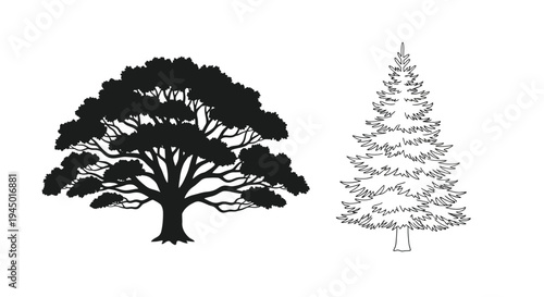 Stylized black and white illustration of a deciduous tree and a conifer