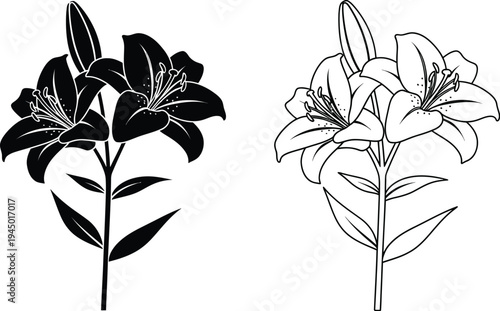 Black and white lily flowers line art illustration Vector