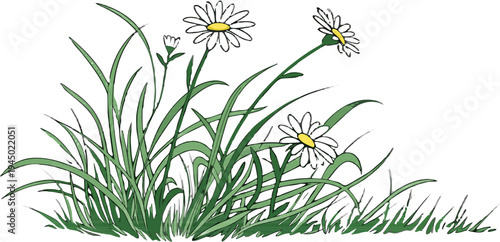 Healthy green grass patch with detailed blades, isolated on transparent background.