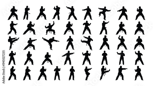 Collection of diverse martial arts poses and stances in black silhouettes on white background for design and educational use