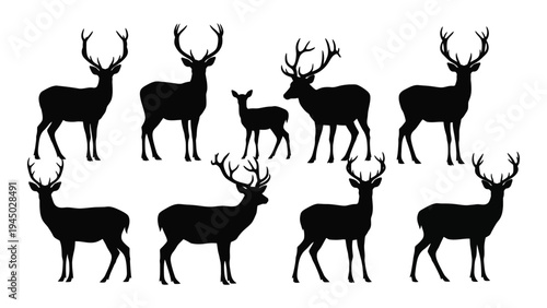 A group of deer silhouettes standing in various poses on a white background, showcasing their antlers and body shapes in a minimalist style.