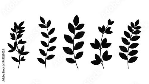 A detailed analysis of five distinct plant silhouettes with varying leaf patterns and arrangements on a plain white background for botanical and design purposes
