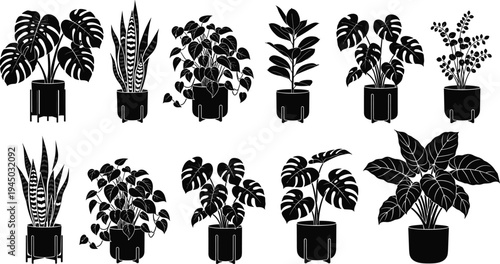 Collection of Interior Houseplant Silhouettes in Modern Pots Featuring Monstera Deliciosa Snake Plant Rubber Tree and Pothos Isolated Vector Illustration for Home Decor Design