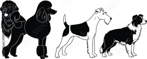 Professional mega collection featuring construction worker pictograms, business silhouettes, school student illustrations, children playing soccer, running kids, human life cycle icons, and diverse do