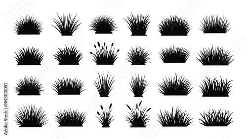 Collection of various grass and foliage silhouettes for design and decoration purposes