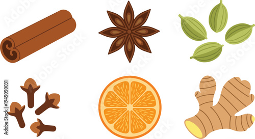 Aromatic spice ingredients vector illustration set with cinnamon stick, star anise, cardamom, clove, orange slice and ginger root
