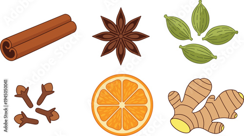 Aromatic spice ingredients vector set with cinnamon sticks, star anise, cardamom pods, cloves, orange slice and ginger root