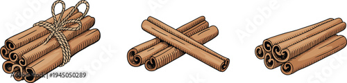 Cinnamon sticks bundle and crossed cinnamon spice vector illustration set, aromatic cooking ingredient botanical seasoning isolated on background