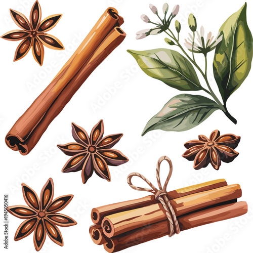 Cinnamon sticks, star anise spices and aromatic leaves botanical illustration, hand drawn herbal spice set isolated for cooking ingredients design