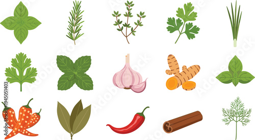 Herbs and Spices Botanical Vector Set Basil Rosemary Thyme Parsley Garlic Turmeric Chili Cinnamon Leaves Natural Cooking Ingredients Collection