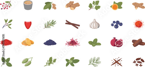 Herbs and spices collection with ginger, garlic, cinnamon, chili, berries, turmeric and aromatic leaves natural ingredients illustration