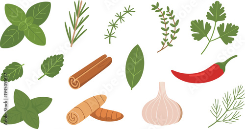 Herbs and spices vector set with basil, rosemary, thyme, garlic, chili pepper, cinnamon and ginger cooking ingredients illustration