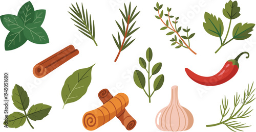 Herbs and spices vector illustration set with basil, rosemary, thyme, garlic, chili pepper and cinnamon cooking ingredients isolated