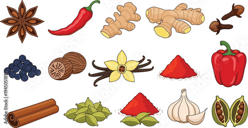 Spices and Seasonings Vector Collection Chili Ginger Garlic Vanilla Pepper Nutmeg Cardamom Cinnamon Paprika Star Anise Cooking Ingredients Set