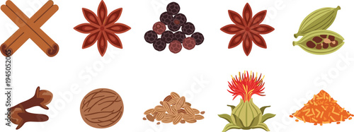 Spices and Seasonings Vector Set Cinnamon Star Anise Pepper Cardamom Clove Nutmeg Safflower Turmeric Natural Cooking Ingredients Collection