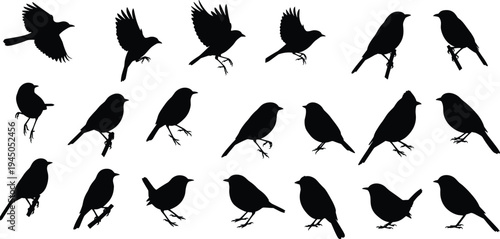Black bird silhouettes collection, flying birds vector illustration, perched sparrows silhouette, songbird shapes set, wildlife design elements, decorative icons
