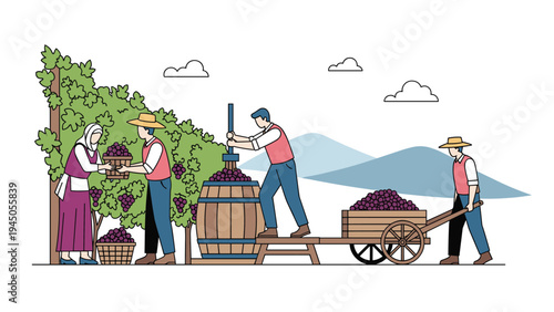 Traditional vineyard workers harvesting ripe grapes and processing them into wine barrels during the autumn season.