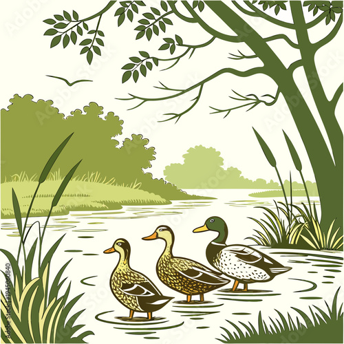 Three ducks standing in a pond with green trees and grass