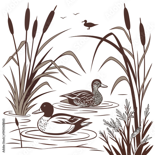 Two ducks swimming in a pond with cattails and birds flying