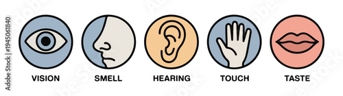 Five human senses icon set vision smell hearing touch and taste represented by eye nose ear hand and lips