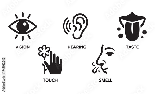 Five basic human senses glyph icons for learning and sensory awareness with labels for vision and hearing