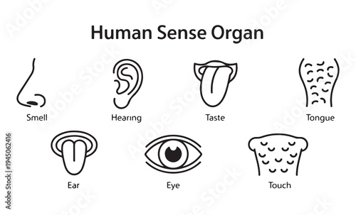 Beauty and cosmetic icons set for makeup, skincare, and facial care products application on white background