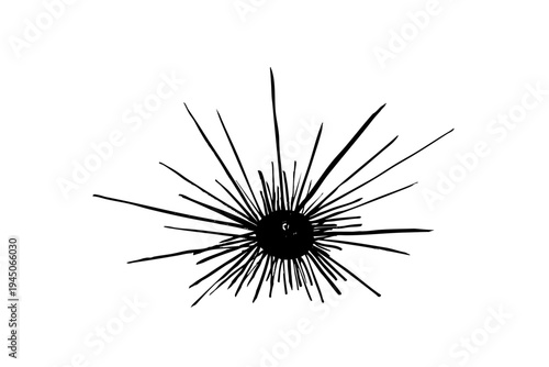 Foto long spined sea urchin ink brush illustration, japanese style sea urchin line ar