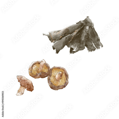 Quadro su tela 水彩で描いた干し椎茸と出し昆布