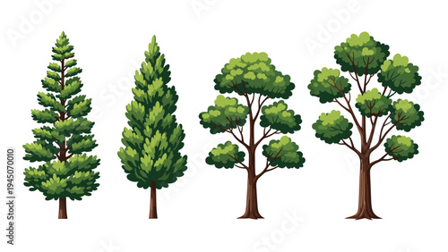 Various green tree species including pine and deciduous varieties shown against white background for botanical and design projects.
