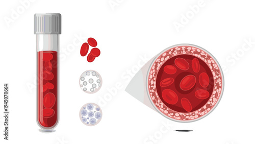 Medical laboratory equipment featuring test tube with blood sample and petri dishes showing red and white blood cells for analysis.
