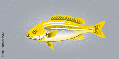 Fish illustration in water and isolated backgrounds with marine and aquatic elements