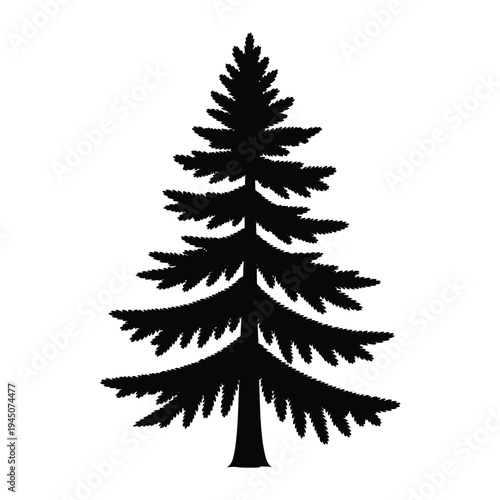 A stark silhouette of a coniferous tree against a white background