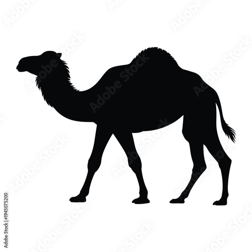 A striking silhouette of a dromedary camel in a simple black design