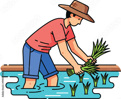 vector illustration of a male farmer with a straw hat planting rice seedlings in a flooded field