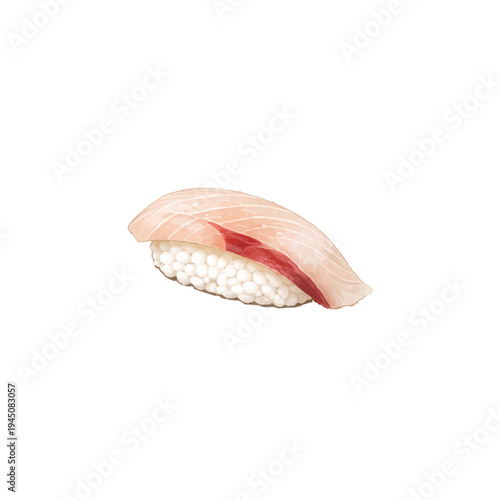 Ishidai Striped Beakfish Nigiri Sushi Illustration Isolated on White Background Japanese Food