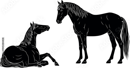 A black and white illustration of a horse and a foal interacting peacefully