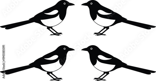 Magpie bird silhouette set vector illustration black and white magpie birds facing each other wildlife design isolated nature icon