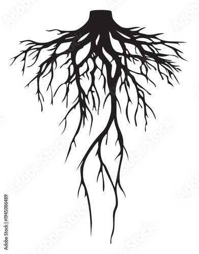 Black silhouette of tree roots illustration spreading outwards