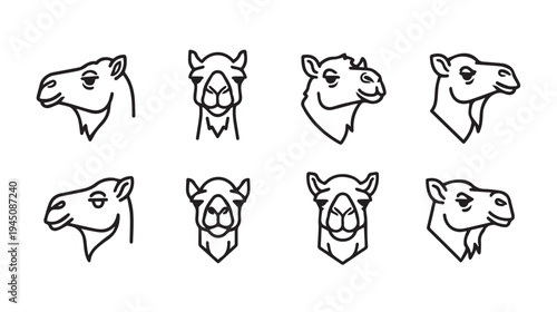 Collection of Camel Head Icons Diverse Angles Minimalist Line Art