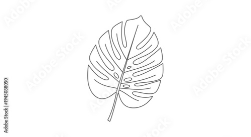 Monstera Deliciosa Leaf Line Art Drawing Minimalist Botanical Illustration.