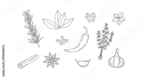 Hand-Drawn Culinary Herbs and Spices Illustration.