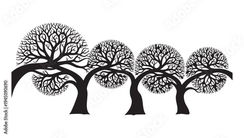 Four trees with bare branches on a white background